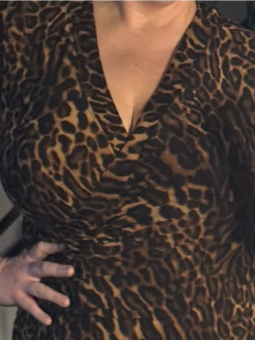 Ralph Lauren Stretch Wrap Plunge V-Neck Blouse
